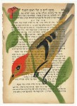 Julien Roux, Bird serie - Sans titre 9, 2014, water colour on Hebrew prayer book, 10 x 8 cm