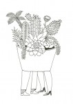 Julien Roux, Succulent Plant Serie- Couple Pot, Ink on paper 2014, , 21 x 15 cm