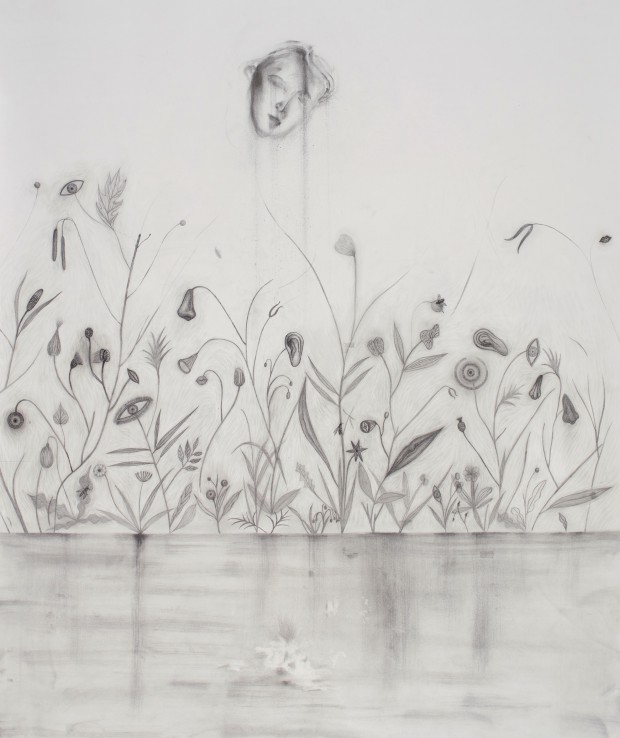 Kyung-Hwa Choi-ahoi, Augen äpfeln Nasen blühn, 2015, Zeichnung auf Papier, 89,5 x 110 cm