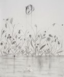 Kyung-Hwa Choi Ahoi, Augen Äpfeln Nasen Blüh, 2015, Bleistift auf Papier, 90 x 110 cm 