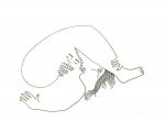Julien Roux, Eroticly Correct, 2012, Filzstift auf Seidenpapier, 47x66 cm