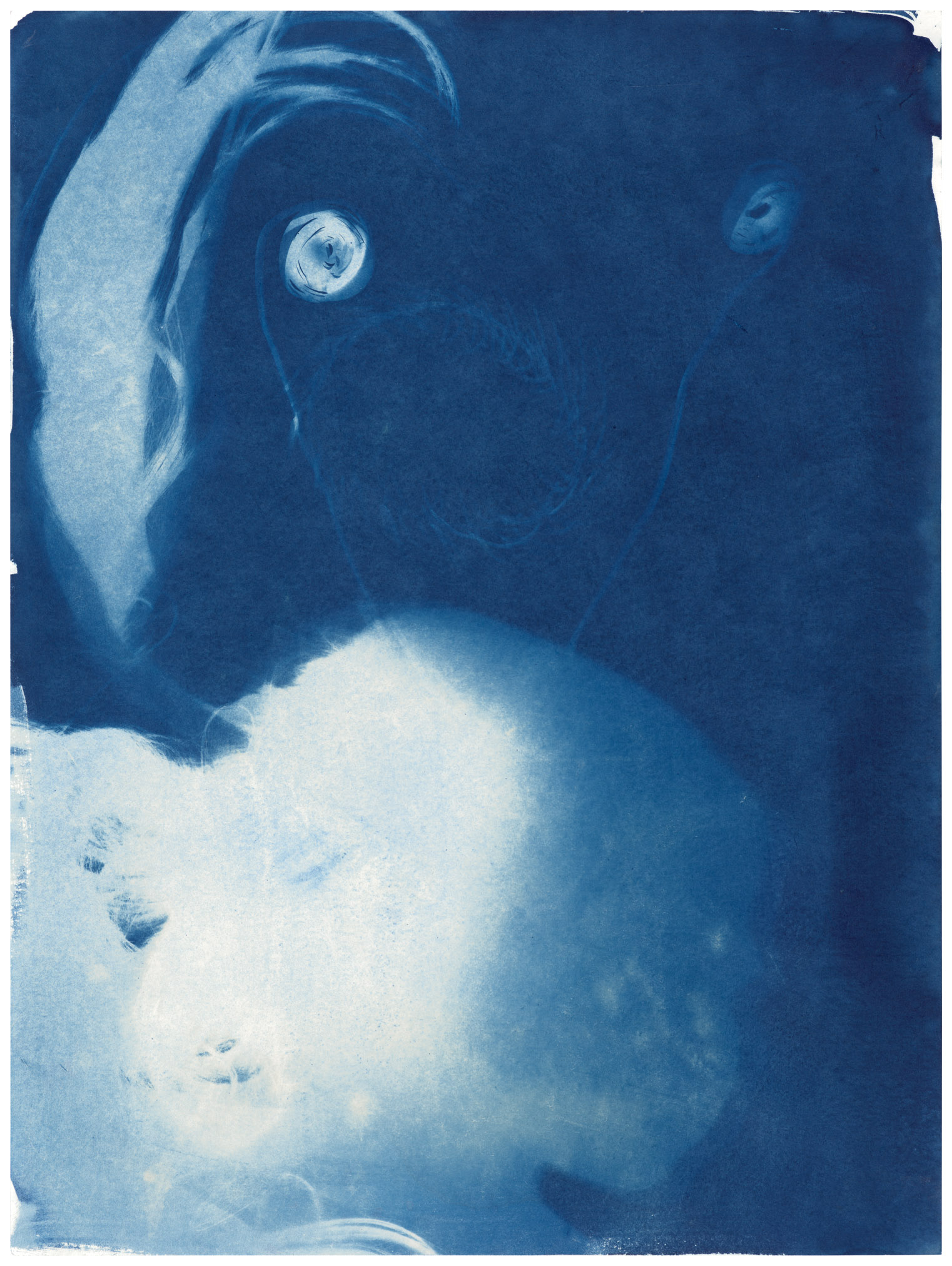 Blue III, 2022, Cyanotypie, je 56 x 41 cm