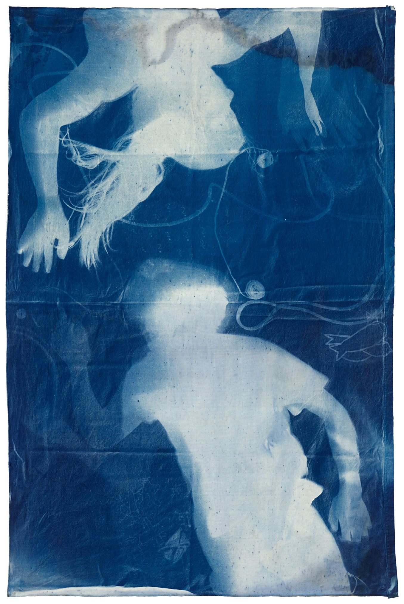 Blue Future, 2022
Digitaldruck nach einer Cyanotypie auf
Mischgewebe, Ed. 1/1: 500 x 350 cm