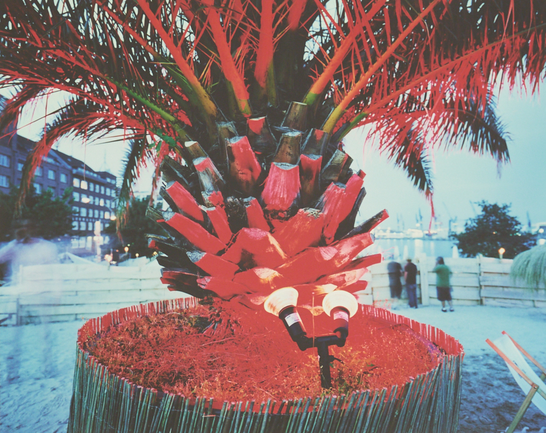 Reiner Riedler,
Fake Holidays: Strandpauli I, 2006,
C-Print (Arbeitsproben),
40 X 50 cm