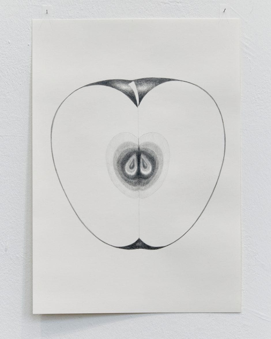 Halber Apfel_a, 29,7x 42 cm, Bleistift auf Papier, 2026